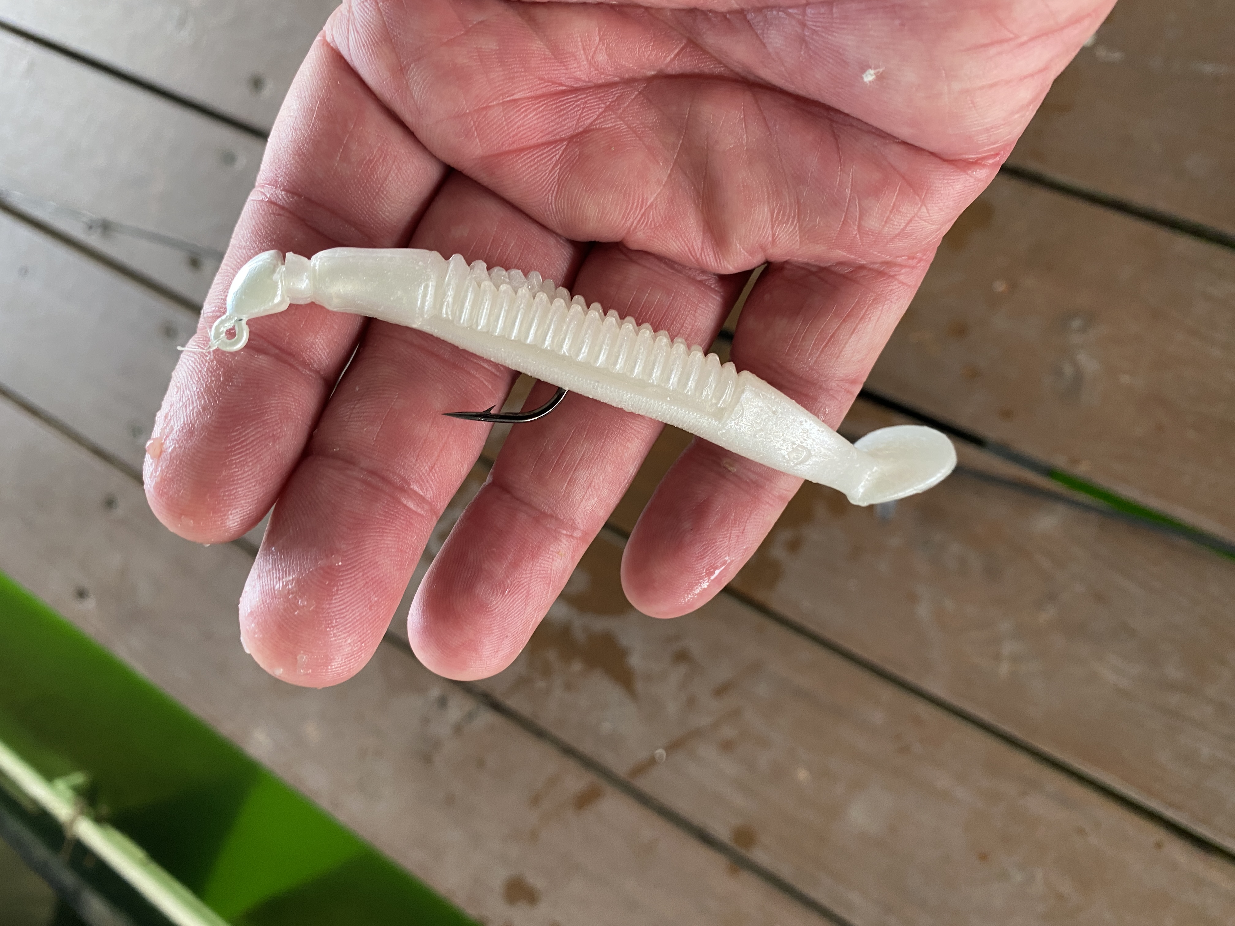 The bait: white pearl paddle tail swimbait on a red jig head.