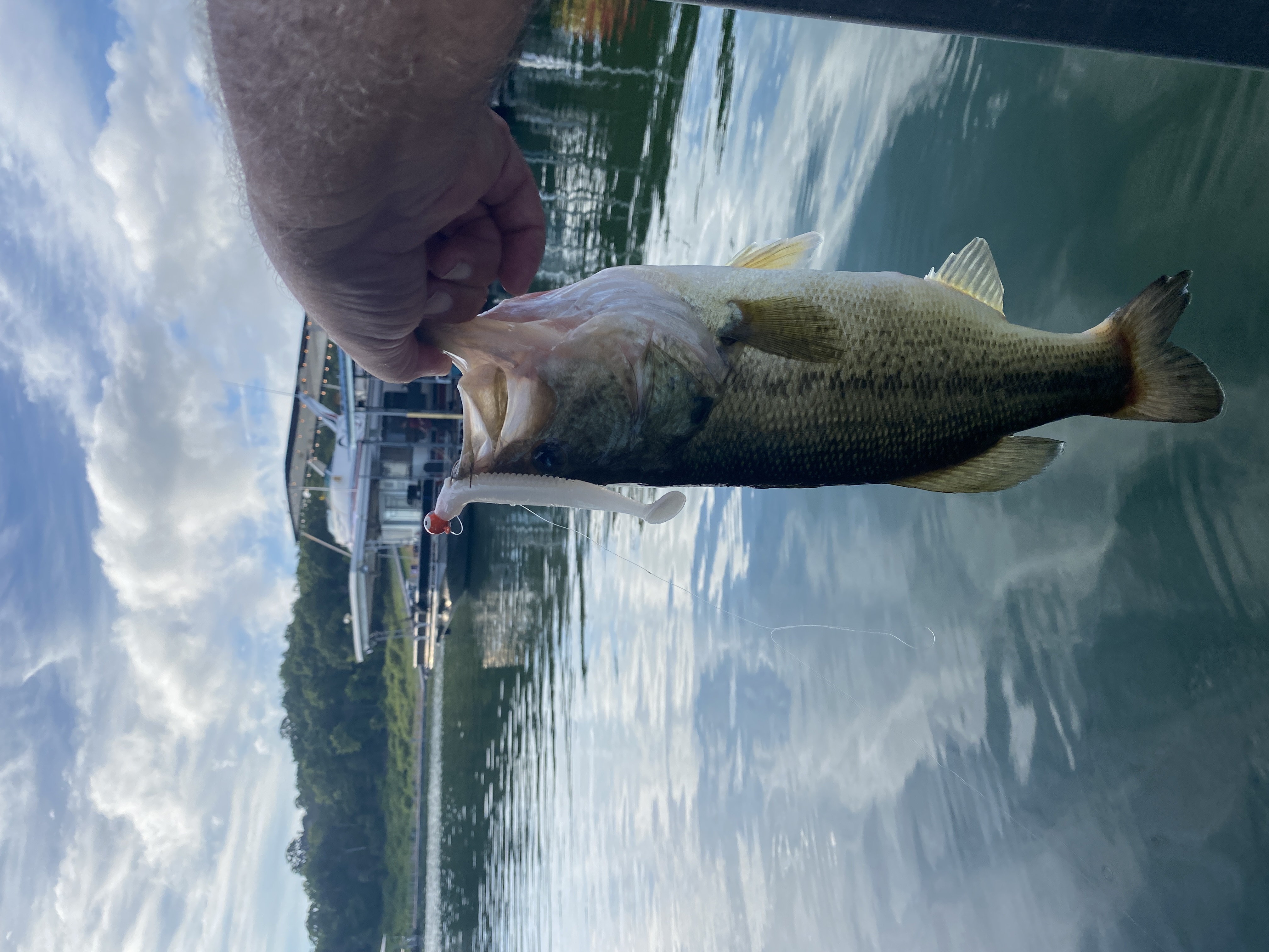 Bull Shoals largemouth at the waterline, bait still in mouth, dock reflected in the water.