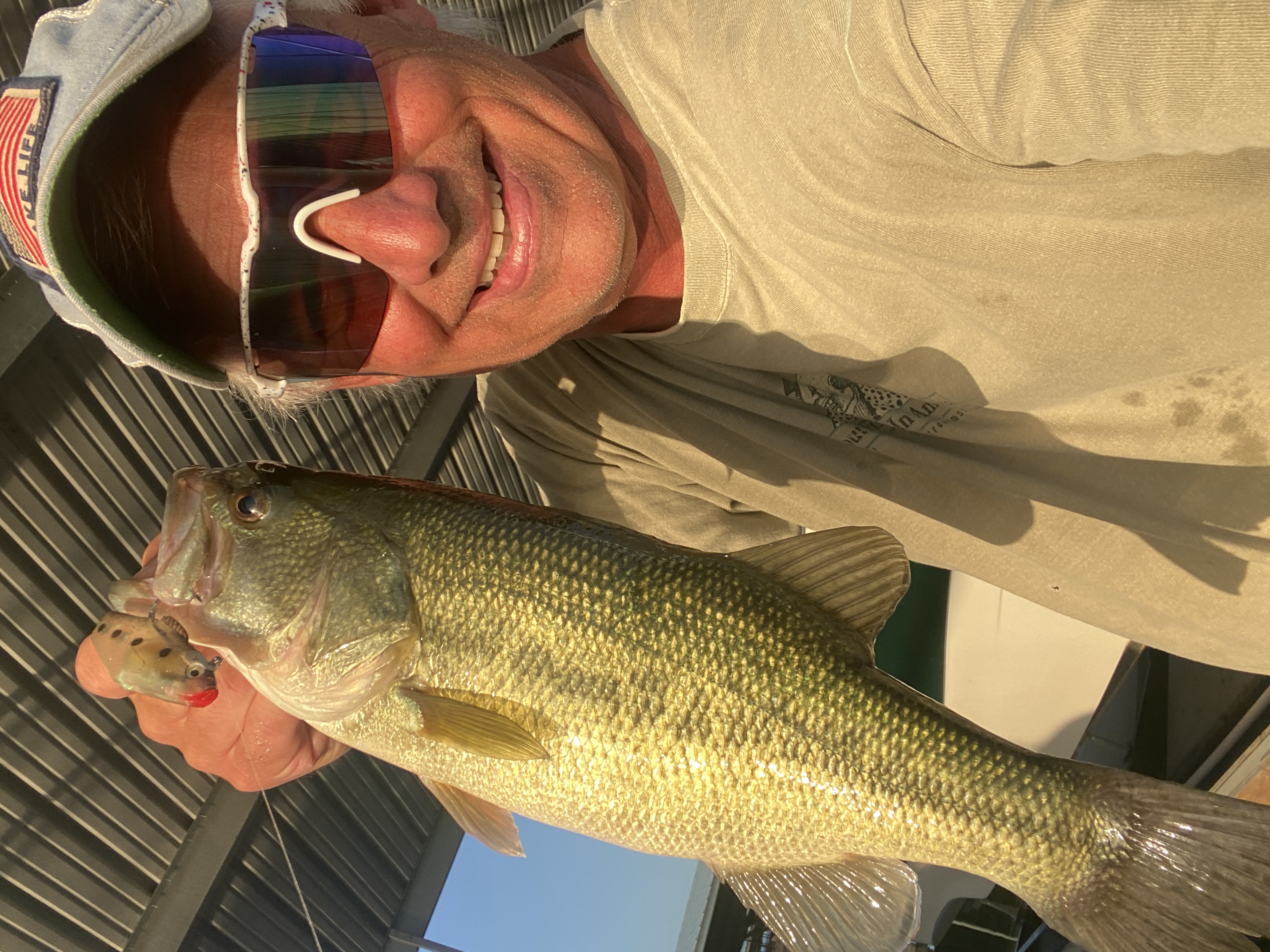 Fat largemouth with the paddle tail still in its mouth — a classic summer dock bass.