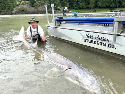Frazier River Sturgeon